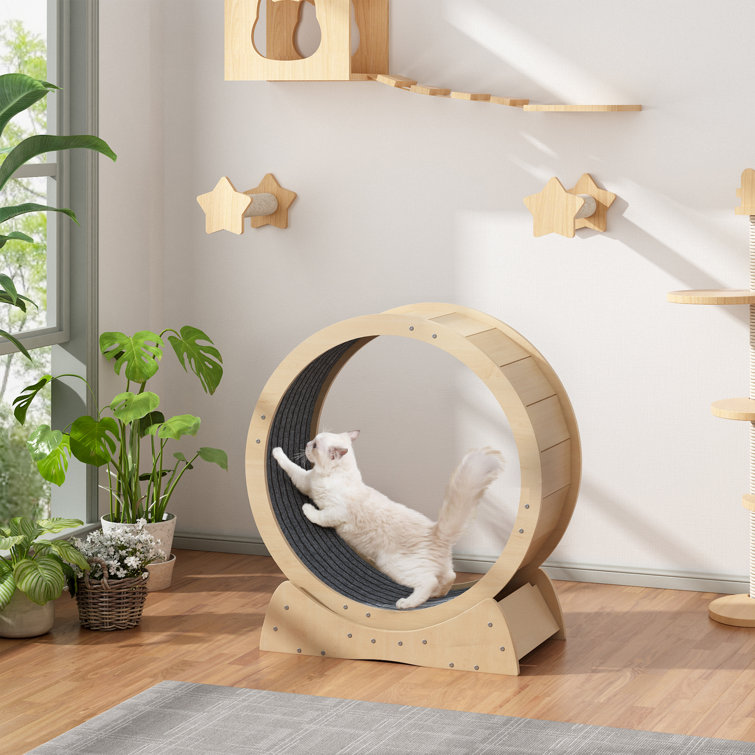 Cat tower 2025 with exercise wheel